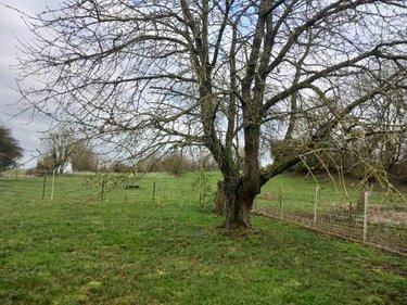 Location maison Berles-au-Bois 62123 Pas-de-Calais 123 m2  1000 euros
