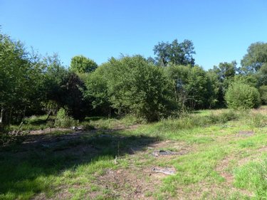Terrains de loisirs bois etangs a vendre Cléguérec 56480 Morbihan 16640 m2  15990 euros