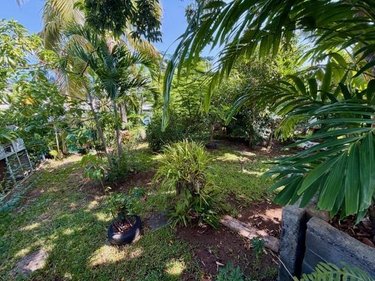 Maison a vendre Saint-Paul 97460 Réunion 87 m2 4 pièces 274700 euros