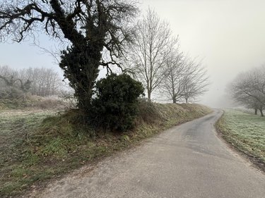 Terrain a batir a vendre Romain 51140 Marne 689 m2  70000 euros