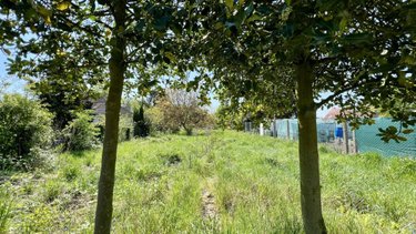 Terrain a batir a vendre Templeuve-en-Pévèle 59242 Nord 554 m2  159000 euros