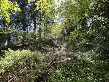Terrain a batir a vendre Saint-Antoine-du-Rocher 37360 Indre-et-Loire 689 m2  64200 euros