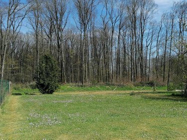 Maison a vendre Sepmes 37800 Indre-et-Loire 83 m2 3 pièces 152250 euros