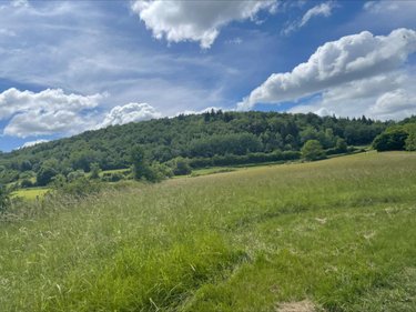 Terrains de loisirs bois etangs a vendre Aromas 39240 Jura 128600 m2  160000 euros