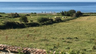 Location maison Urville-Nacqueville 50460 Manche 74 m2 4 pièces 1100 euros