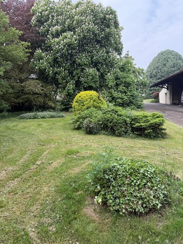 Maison a vendre Montigny-en-Cambrésis 59225 Nord 219 m2 9 pièces 303920 euros