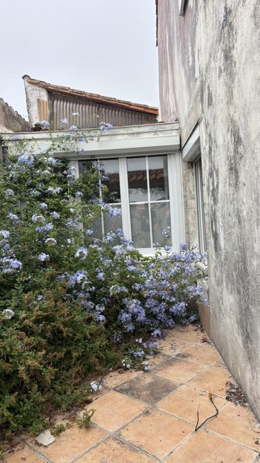 Maison a vendre Sainte-Marie-de-Ré 17740 Charente-Maritime 156 m2  430770 euros