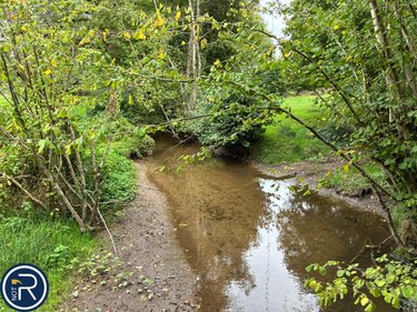 Terrains de loisirs bois etangs a vendre Montaudin 53220 Mayenne 2522 m2  13500 euros