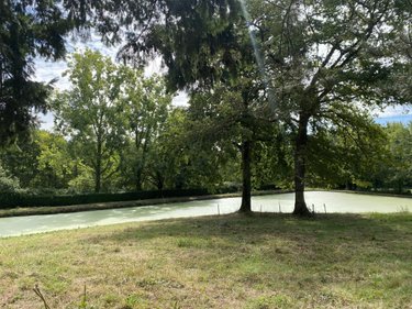 Terrains de loisirs bois etangs a vendre Saint-Georges-de-Pointindoux 85150 Vendée 9800 m2  48150 euros