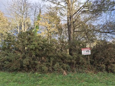 Terrains de loisirs bois etangs a vendre Moustoir-Ac 56500 Morbihan 24038 m2  15100 euros