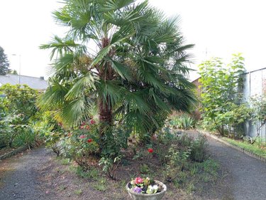 Maison a vendre Saint-Hilaire-du-Harcouët 50600 Manche 98 m2 3 pièces 126420 euros