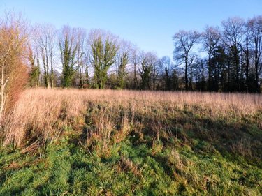 Terrains de loisirs bois etangs a vendre Locmalo 56160 Morbihan 4900 m2  26650 euros