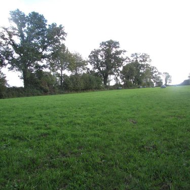 Terrains de loisirs bois etangs a vendre Le Mesnil-Garnier 50450 Manche 8325 m2  21800 euros