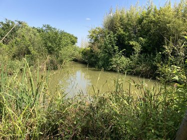 Terrains de loisirs bois etangs a vendre Saint-Germain-le-Fouilloux 53240 Mayenne 3106 m2  28600 euros