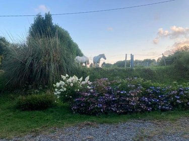 Maison a vendre Lignol 56160 Morbihan 116 m2 7 pièces 278185 euros