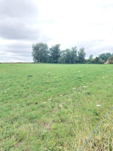 Terrain a batir a vendre Camblain-l'Abbé 62690 Pas-de-Calais 732 m2  58000 euros