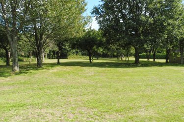 Maison a vendre Pluvigner 56330 Morbihan 87 m2 4 pièces 291520 euros