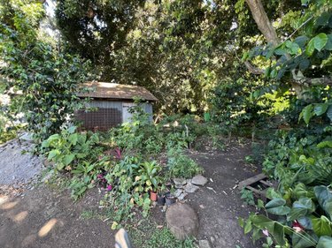 Terrain a batir a vendre Saint-Louis 97450 Réunion 1198 m2  171000 euros