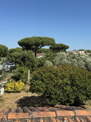 Maison a vendre Le Bois-Plage-en-Ré 17580 Charente-Maritime 160 m2 7 pièces 1089000 euros