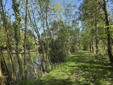 Terrains de loisirs bois etangs a vendre La Roche-Neuville 53200 Mayenne 31445 m2  95700 euros