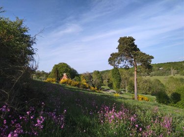 Terrain a batir a vendre La Trinité-de-Réville 27270 Eure 3668 m2  29680 euros