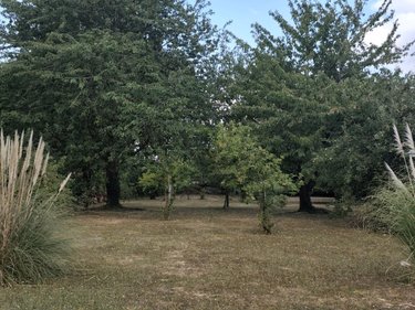 Maison a vendre Guarbecque 62330 Pas-de-Calais 120 m2 5 pièces 250000 euros
