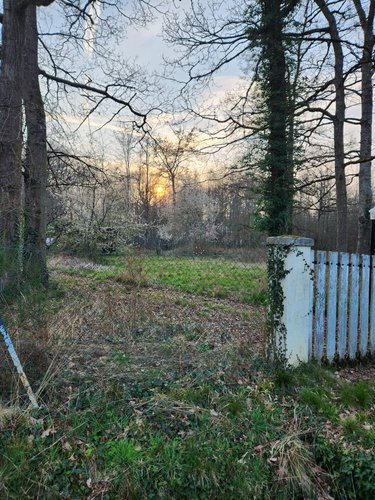 Terrain a batir a vendre La Selle-en-Hermoy 45210 Loiret 2239 m2  44000 euros