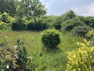 Maison a vendre Ploulec'h 22300 Côtes-d'Armor 103 m2 4 pièces 335300 euros