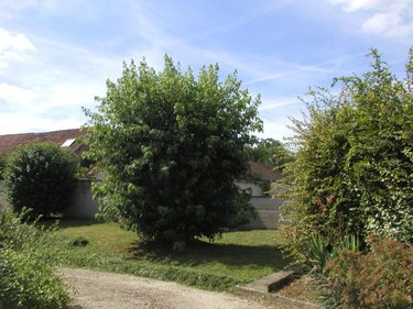 Maison a vendre Izeure 21110 Côte-d'Or 160 m2 6 pièces 360000 euros
