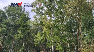 Terrains de loisirs bois etangs a vendre Précigné 72300 Sarthe 9000 m2  9000 euros