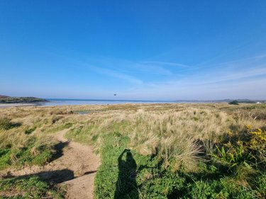 Terrain a batir a vendre Plonévez-Porzay 29550 Finistère 538 m2  70324 euros