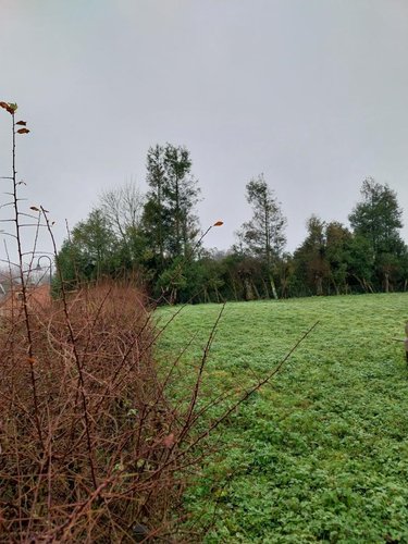 Terrain a batir a vendre Villers-Brûlin 62690 Pas-de-Calais 2200 m2  63000 euros