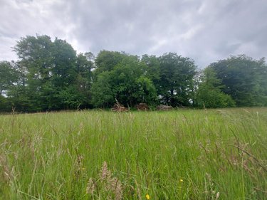Terrain a batir a vendre Camors 56330 Morbihan 811 m2  71888 euros