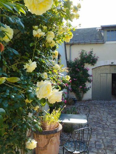 Maison a vendre Saint-Épain 37800 Indre-et-Loire 200 m2 8 pièces 365800 euros