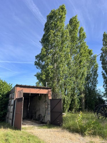Maison a vendre Moisy 41160 Loir-et-Cher 115 m2 4 pièces 143100 euros