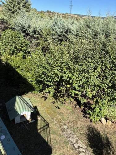 Maison a vendre Saint-Jean-et-Saint-Paul 12250 Aveyron 135 m2 6 pièces 172500 euros