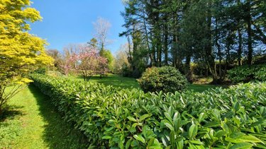 Maison a vendre Langonnet 56630 Morbihan 113 m2 5 pièces 179100 euros