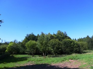 Terrains de loisirs bois etangs a vendre Cléguérec 56480 Morbihan 16640 m2  15990 euros