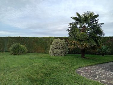 Maison a vendre Le Teilleul 50640 Manche 75 m2 4 pièces 147140 euros