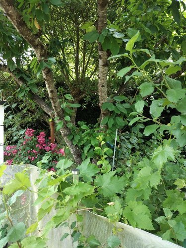 Terrains de loisirs bois etangs a vendre Neuville-sur-Sarthe 72190 Sarthe 470 m2  58300 euros