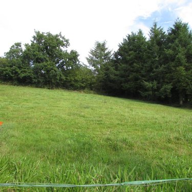 Terrain a batir a vendre Sainte-Cécile 50800 Manche 2000 m2  26800 euros