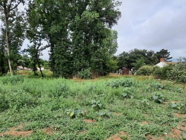 Terrain a batir a vendre Saint-Hilaire-de-Riez 85270 Vendée 994 m2  209350 euros