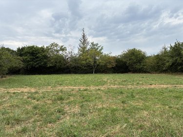 Terrains de loisirs bois etangs a vendre Brée 53150 Mayenne 8114 m2  69000 euros