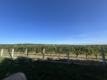 Maison a vendre Panzoult 37220 Indre-et-Loire 104 m2 5 pièces 220500 euros