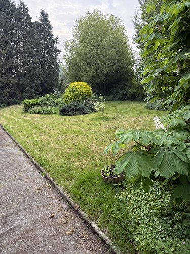 Maison a vendre Montigny-en-Cambrésis 59225 Nord 219 m2 9 pièces 303920 euros