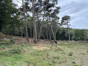 Maison a vendre Ploemeur 56270 Morbihan 230 m2 8 pièces 830240 euros