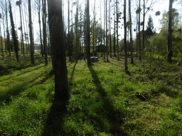 Terrains de loisirs bois etangs a vendre Pont-Farcy 50420 Manche 3960 m2  11000 euros