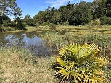 Maison a vendre Baden 56870 Morbihan 135 m2 6 pièces 744340 euros