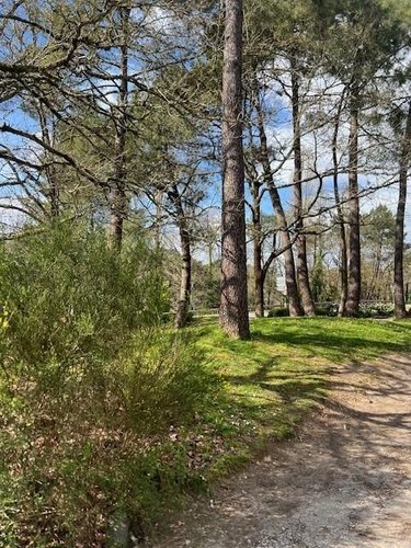 Fonds et murs commerciaux a vendre Vannes 56000 Morbihan 344 m2  690100 euros
