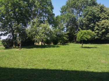 Maison a vendre Honnecourt-sur-Escaut 59266 Nord 202 m2 6 pièces 262000 euros